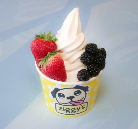 Ziggy's Frozen Yogurt